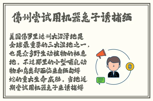 午夜.dj高清在线观看免费